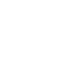 WordPress Development